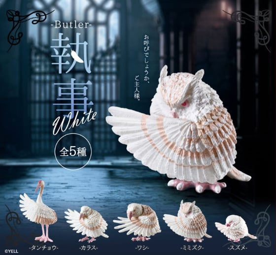 Image of Butler White x YELL