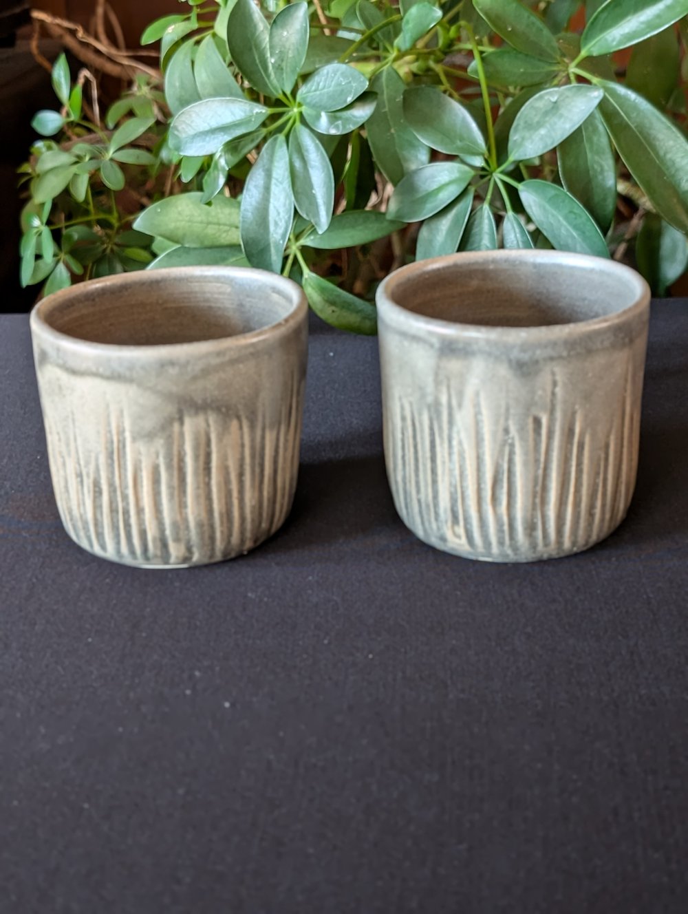 Grey Cups - Set of 2