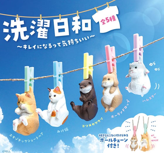 Image of Perfect Day for Washing x YELL