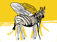 Zebra with Wings 