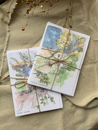 Image 4 of Four pack of 'Foraging Hedgerows' christmas cards 