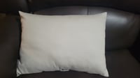 Image 4 of Canvas Throw Pillow