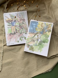 Image 1 of Four pack of mixed Hedgerows cards 