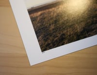 Image 2 of View of Antelope Island Print