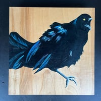 Grackle No. 22 by Carly Weaver - Original Artwork