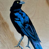 Grackle No. 12 by Carly Weaver - Original Artwork