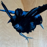 Grackle No. 25 by Carly Weaver - Original Artwork