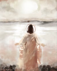 Image 1 of The Morning Star