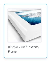 Image 3 of The Morning Star