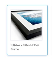 Image 4 of The Morning Star