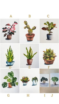 Cactus/Succulent Prints