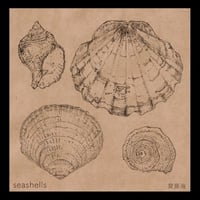 Image 1 of Umi Saito - seashells Maxi Single (CD)
