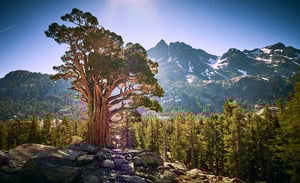 Self Portrait As A Tree, Bathing In Mountain Moonlight.