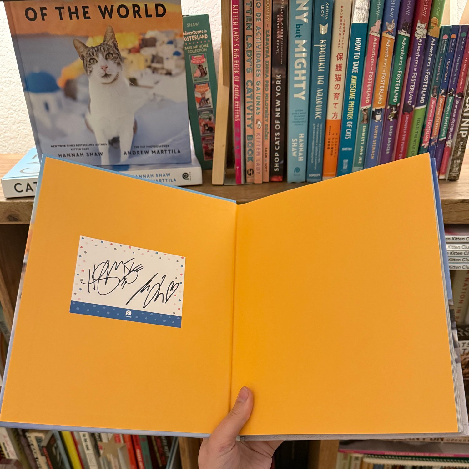 Image of SIGNED Cats of the World + Sticker