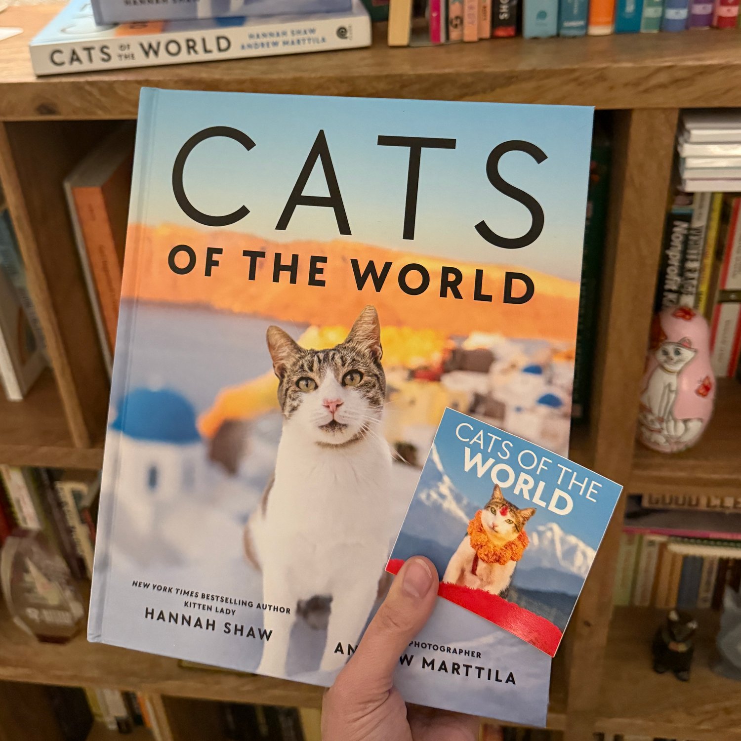 Image of SIGNED Cats of the World + Sticker