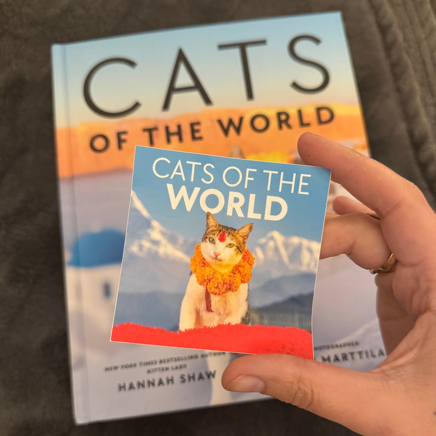 Image of SIGNED Cats of the World + Sticker