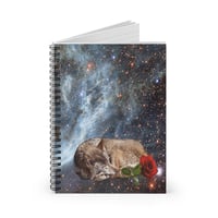 Cassidy Notebook