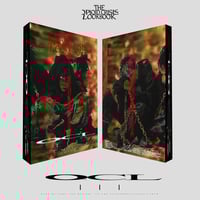 Image 1 of DIGITAL DOWNLOAD THE OPIOID CRISIS LOOKBOOK ISSUE 3 