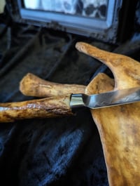 Image 2 of ⛧ Humerus bone knife ⛧