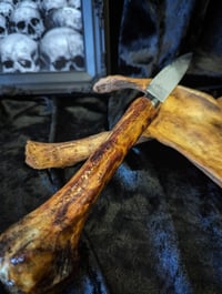 Image 3 of ⛧ Humerus bone knife ⛧