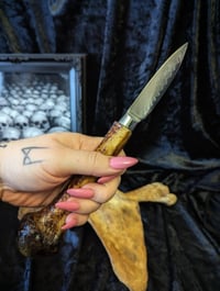 Image 4 of ⛧ Humerus bone knife ⛧