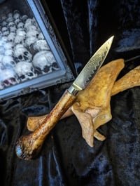 Image 1 of ⛧ Humerus bone knife ⛧