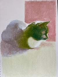 Image of CATS Double drawing workshop