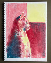 Image of CATS Double drawing workshop