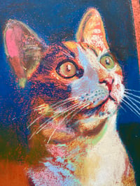 Image of CATS Double drawing workshop