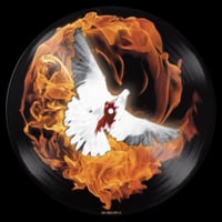 Image 3 of IMMOLATION - Close to a world below "12 PIC LP (LIMITED EDITION)