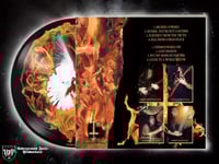 Image 4 of IMMOLATION - Close to a world below "12 PIC LP (LIMITED EDITION)