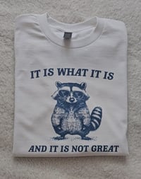 Image 1 of IT IS WHAT IT IS SWEATER/T-SHIRT