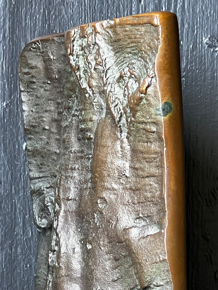 Image of Large Brutalist Bronze Door Handle with Tree Bark Pattern