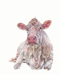 Image 3 of Residents of Woodstock Farm Sanctuary II