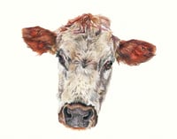 Image 1 of Residents of Woodstock Farm Sanctuary II