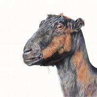 Image 4 of Residents of Woodstock Farm Sanctuary II