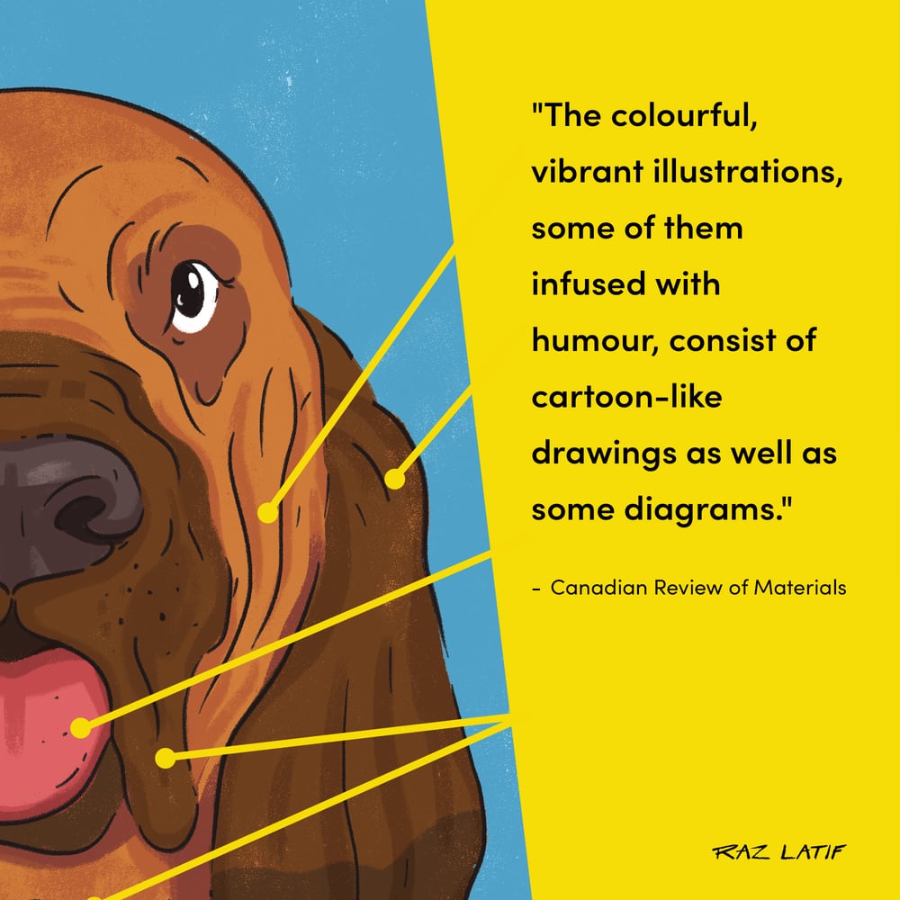 Image of Making Sense of Dog Senses — Signed