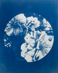 Image 1 of Flowers