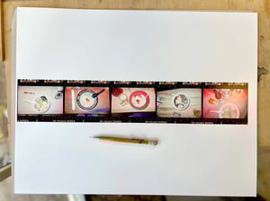 Five Bowls Of Ramen I Consumed In Japan (Waxing and Waning Ramen)