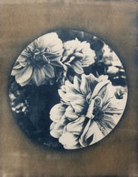 Image 1 of Flowers (Coffee Tone)