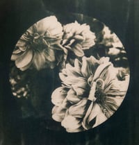 Image 3 of Flowers (Green Tea Tone)