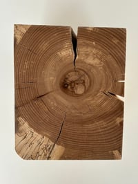 Image 3 of Spalted Beech Storywood
