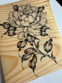 Wood Peony