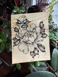 Wood Peony 2