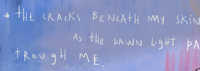 Image of "the dawn light", 2024