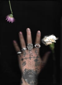 Image 3 of 𝓛𝓲𝓶𝓲𝓪𝓻 