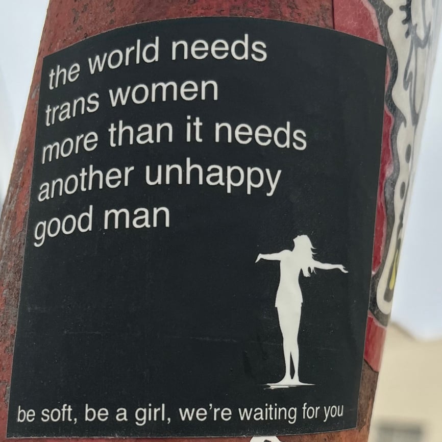 Image of The World Needs Trans Women