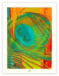 Image 1 of VIVID PEACOCK (24X18)