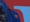 Image of "instante", 2024