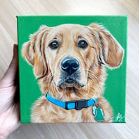 6 x 6 Pet Portrait